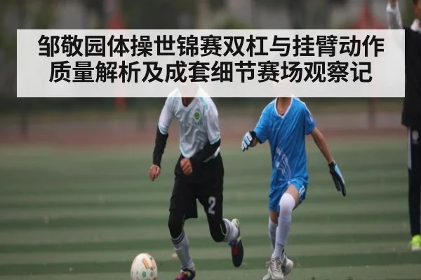 邹敬园体操世锦赛双杠与挂臂动作质量解析及成套细节赛场观察记